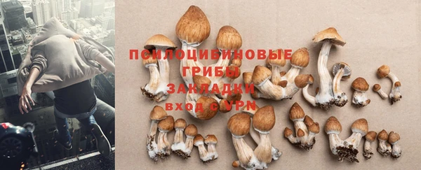 apvp Краснослободск